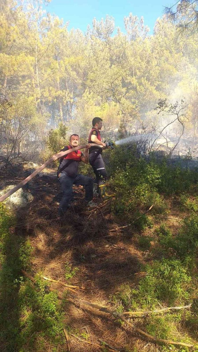 Milas’taki orman yangını kontrol altına alındı