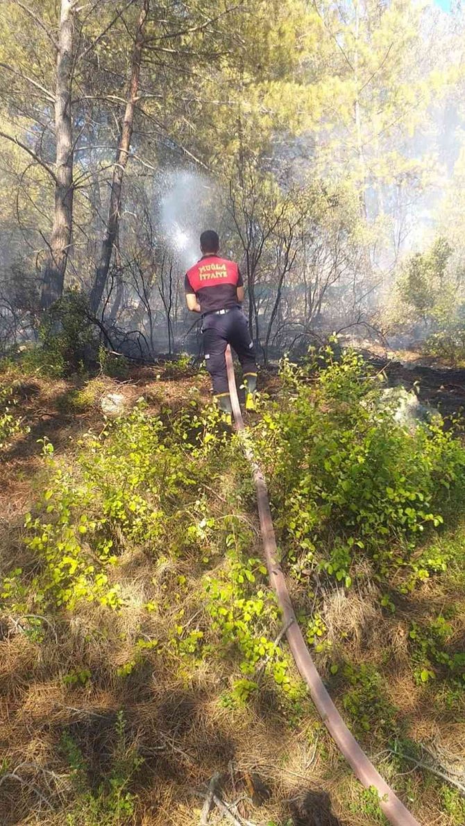 Milas’taki orman yangını kontrol altına alındı