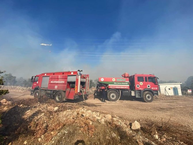 Milas’taki orman yangını kontrol altına alındı