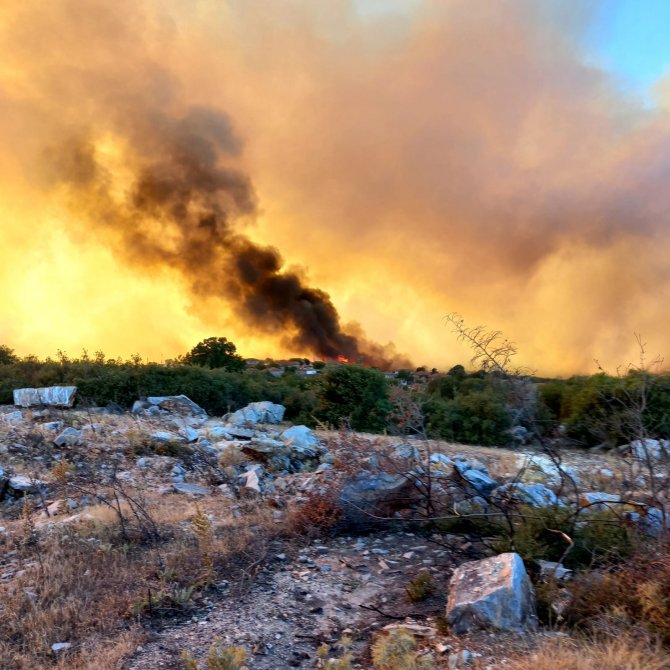 Orman yangını büyüdü, 20 ev boşaltıldı, 40 kişi tahliye edildi