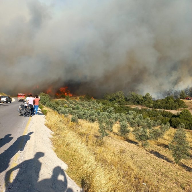 Orman yangını büyüdü, 20 ev boşaltıldı, 40 kişi tahliye edildi