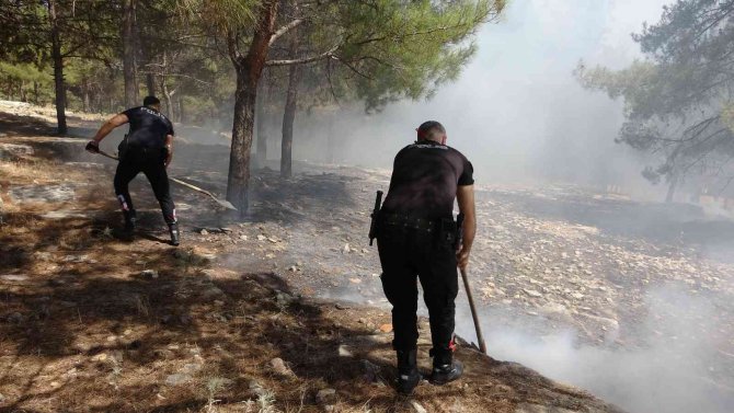 Orman yangını korkuttu