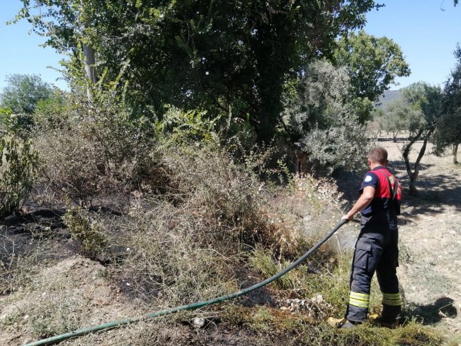 Otluk alanda çıkan yangın korkuttu