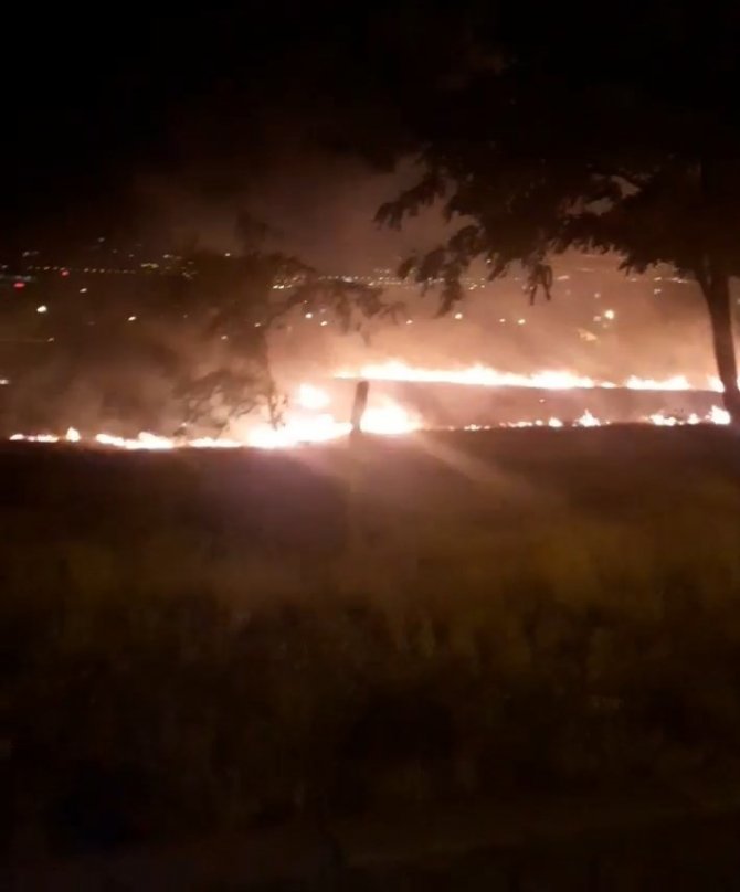 Otluk alanda yangın paniği