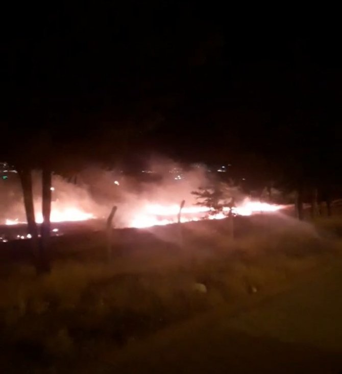 Otluk alanda yangın paniği