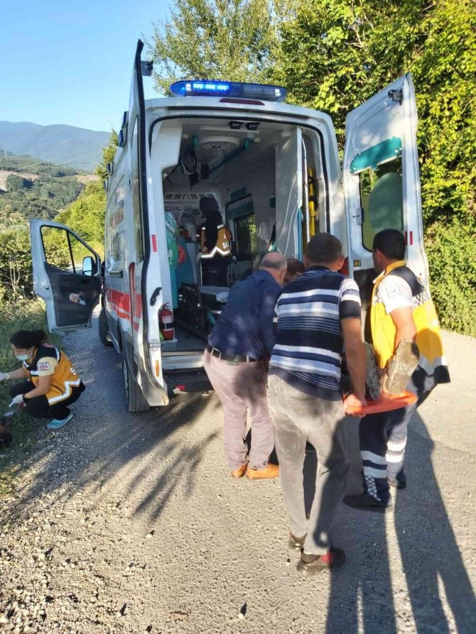 Otomobil fındık bahçesine uçtu: 2 yaralı