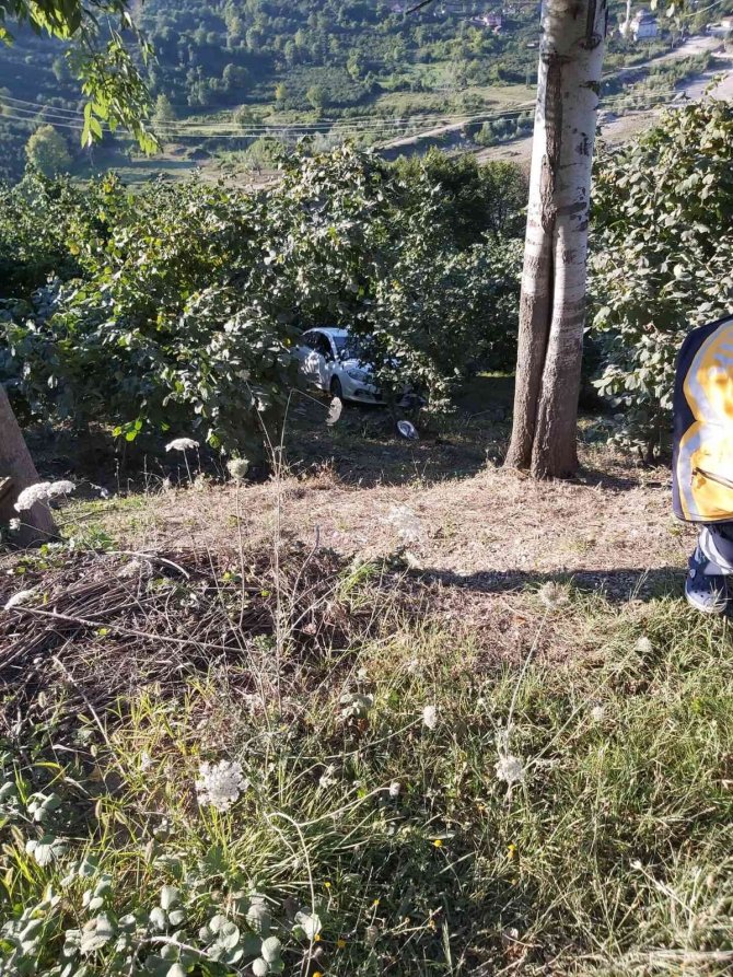 Otomobil fındık bahçesine uçtu: 2 yaralı