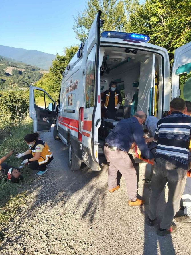 Otomobil fındık bahçesine uçtu: 2 yaralı