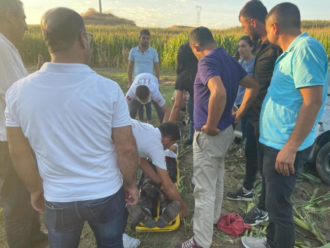 Takla atan otomobil mısır tarlasına uçtu: 1 yaralı