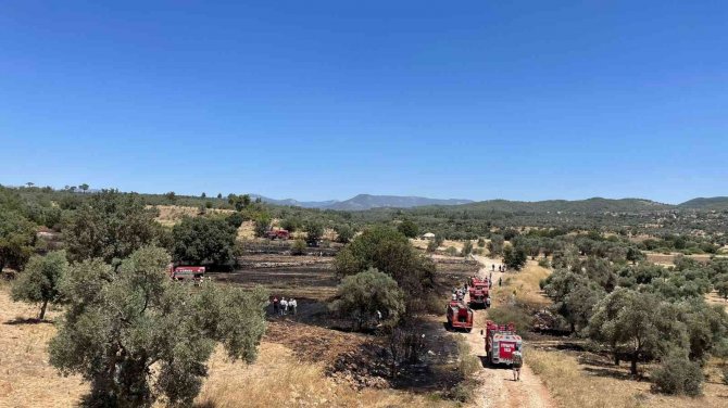 Temizlik ateşi kontrolden çıktı