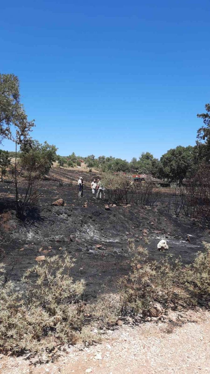 Temizlik ateşi kontrolden çıktı