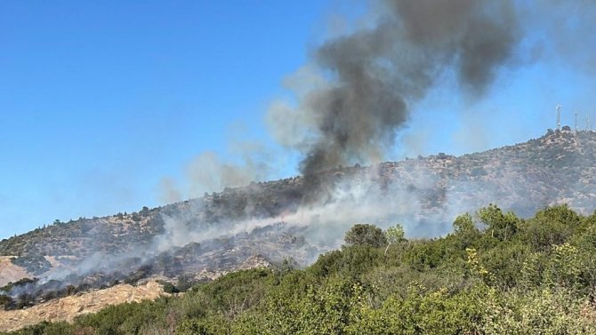 Uşak’ta çıkan orman yangınına müdahale sürüyor