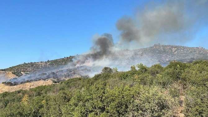 Uşak’ta çıkan orman yangınına müdahale sürüyor
