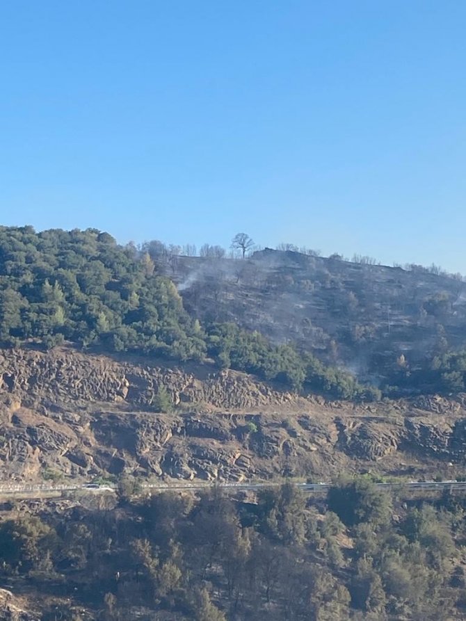 Uşak’ta çıkan orman yangınına müdahale sürüyor