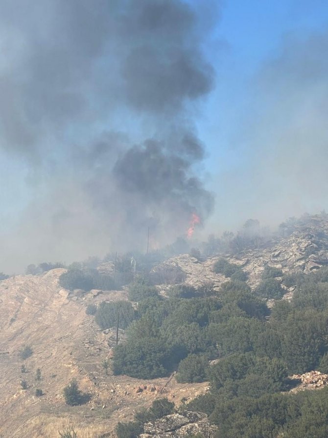 Uşak’ta çıkan orman yangınına müdahale sürüyor