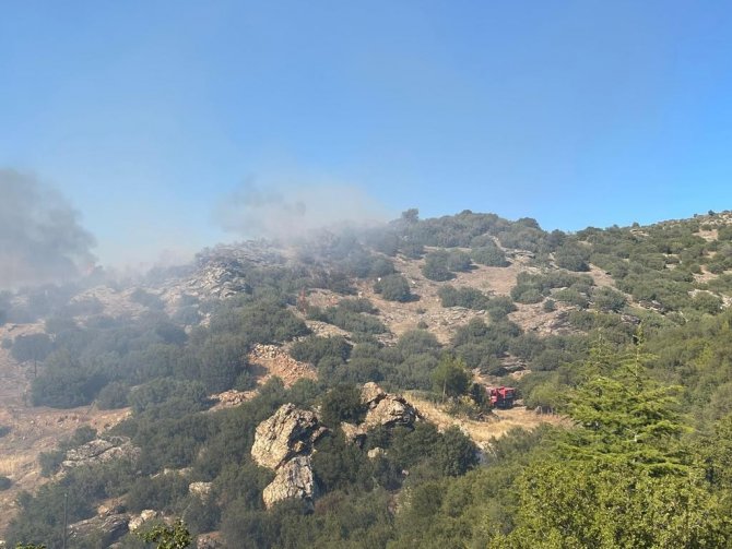 Uşak’ta çıkan orman yangınına müdahale sürüyor