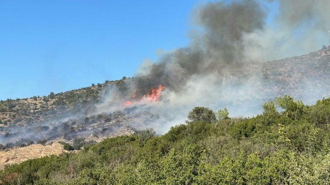 Uşak’taki yangınında 5,5 hektar alan kül oldu