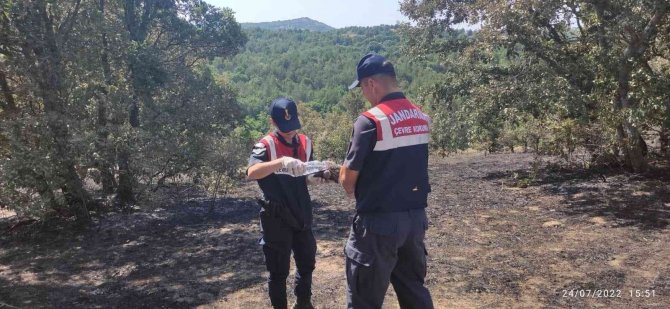 Yangından kaçamayan kaplumbağalar böyle kurtarıldı