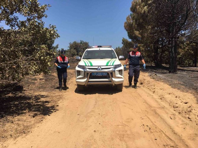 Yangından kaçamayan kaplumbağalar böyle kurtarıldı