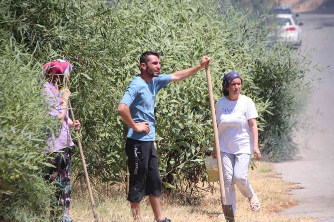 Ağaçlık alandaki yangın konteyner eve sıçradı