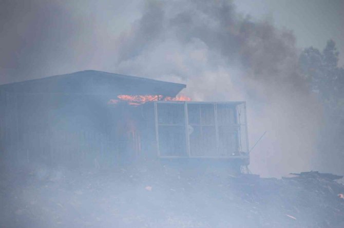 Ağaçlık alandaki yangın konteyner eve sıçradı