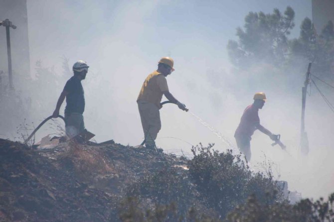 Ağaçlık alandaki yangın konteyner eve sıçradı