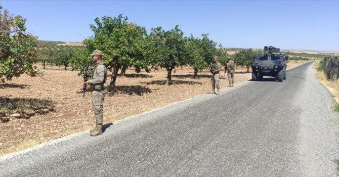 Gaziantep'te hasat dönemi yaklaşan Antep fıstığı için koruma tedbirleri arttırıldı