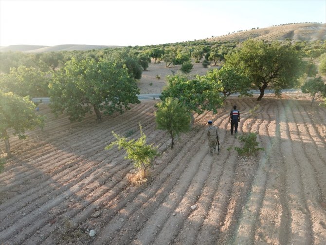 Gaziantep'te hasat dönemi yaklaşan Antep fıstığı için koruma tedbirleri arttırıldı