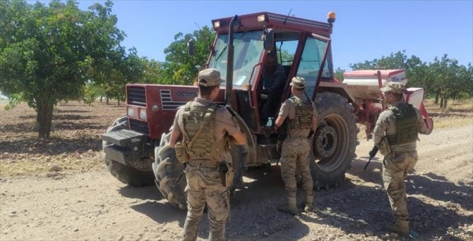 Gaziantep'te hasat dönemi yaklaşan Antep fıstığı için koruma tedbirleri arttırıldı