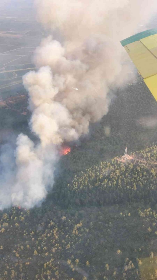 Aydın'da yangına 7 helikopter ve 4 uçakla müdahale devam ediyor