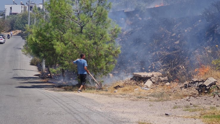 Bodrum'da 1 dönüm otluk yandı