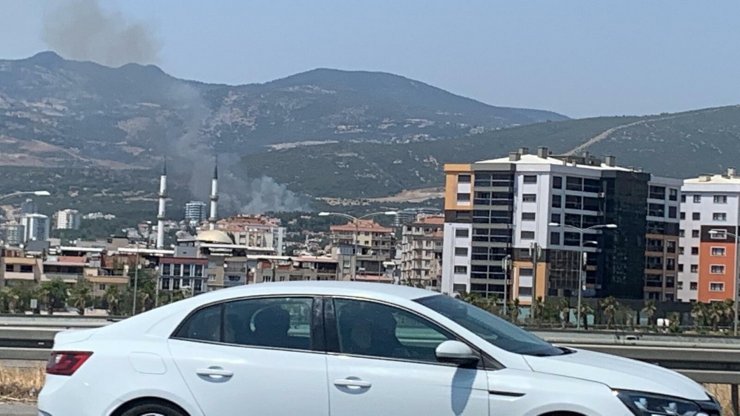 İzmir'de makilik yangını