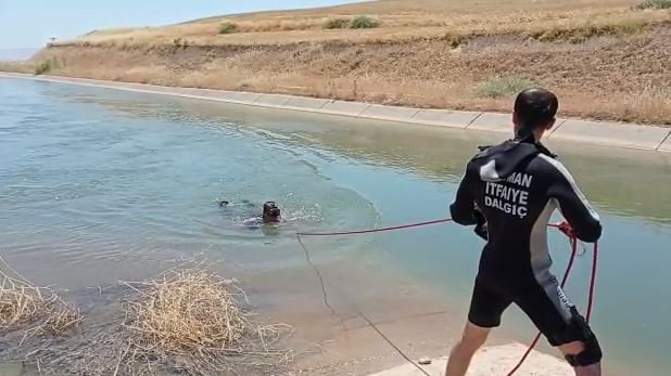 Kanala düşen kuzusu için suya atlayan çoban kayboldu