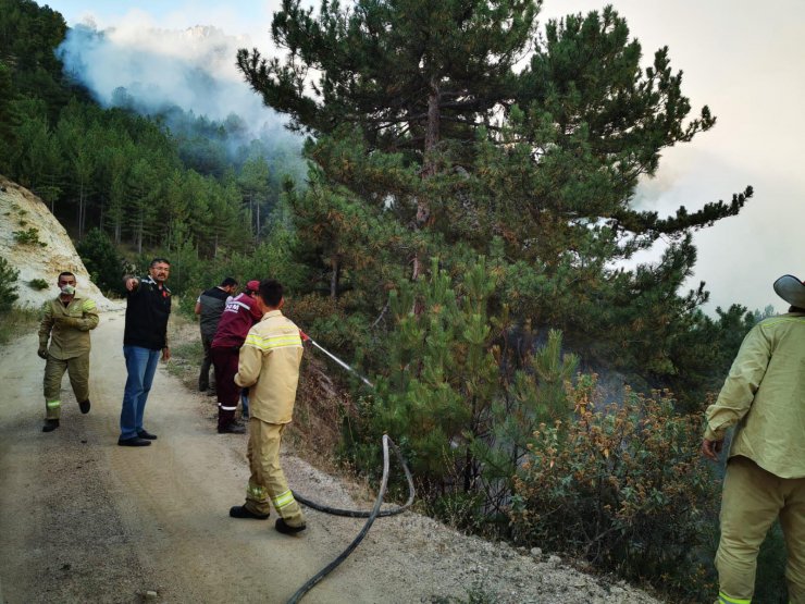 Kütahya'daki orman yangınında 2'nci gün; müdahale sürüyor