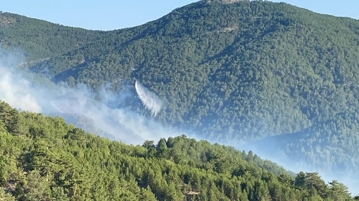 Kütahya'daki orman yangınında 2'nci gün; müdahale sürüyor