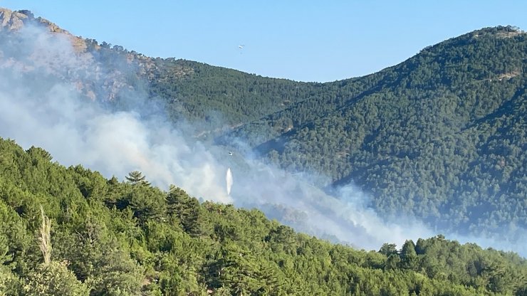 Kütahya'daki orman yangınında 2'nci gün; müdahale sürüyor