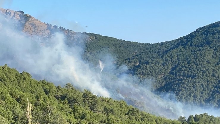 Kütahya'daki orman yangınında 2'nci gün; müdahale sürüyor