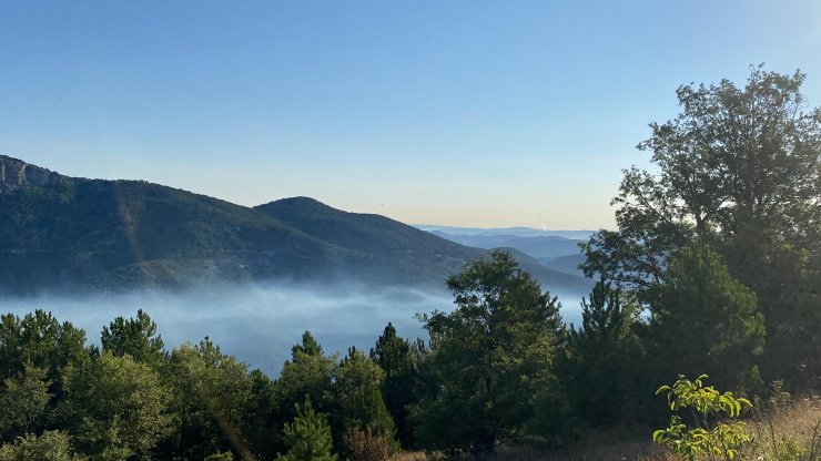 Kütahya'daki orman yangınında 2'nci gün; müdahale sürüyor