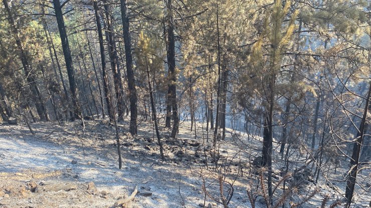 Kütahya'daki orman yangınında 2'nci gün; müdahale sürüyor