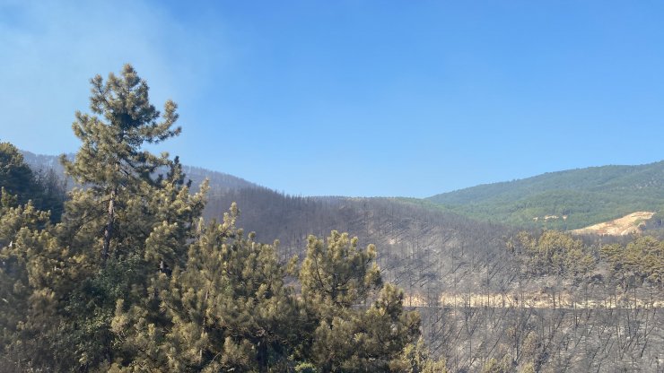 Kütahya'daki orman yangınında 2'nci gün; müdahale sürüyor