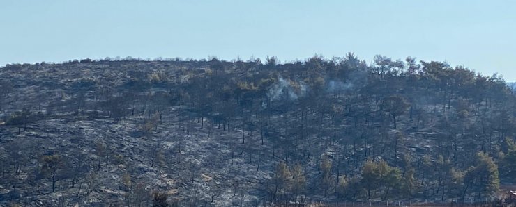 Manisa'daki orman yangını 13,5 saat sonra kontrol altında