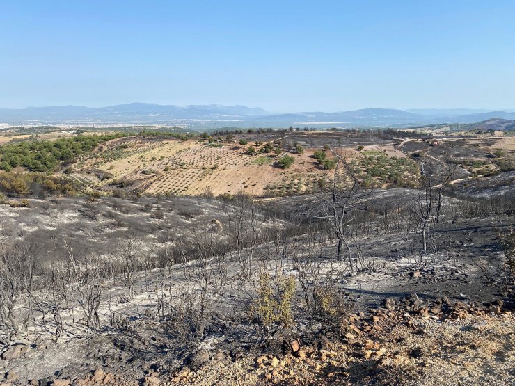 Manisa'daki orman yangını 13,5 saat sonra kontrol altında
