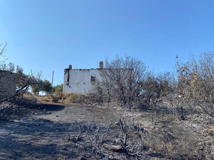 Manisa'daki orman yangını 13,5 saat sonra kontrol altında