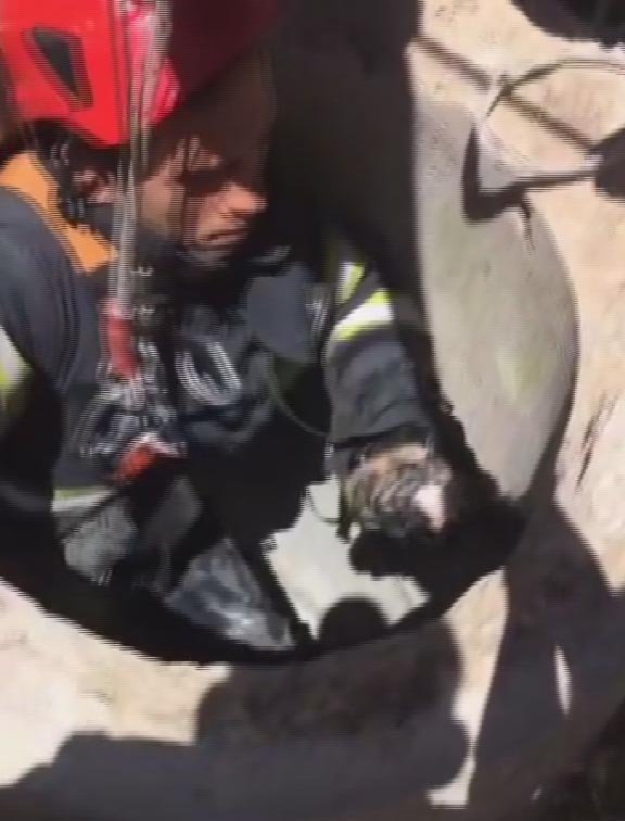 Rögara düşen yavru kediyi itfaiye kurtardı