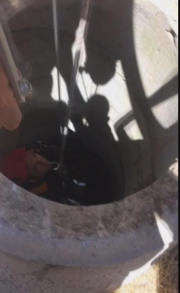 Rögara düşen yavru kediyi itfaiye kurtardı