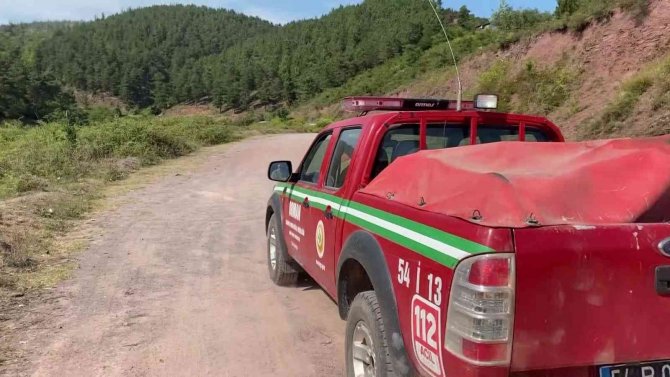 Sakarya’da ormanlık alanda çıkan yangın kısmen kontrol altına alındı