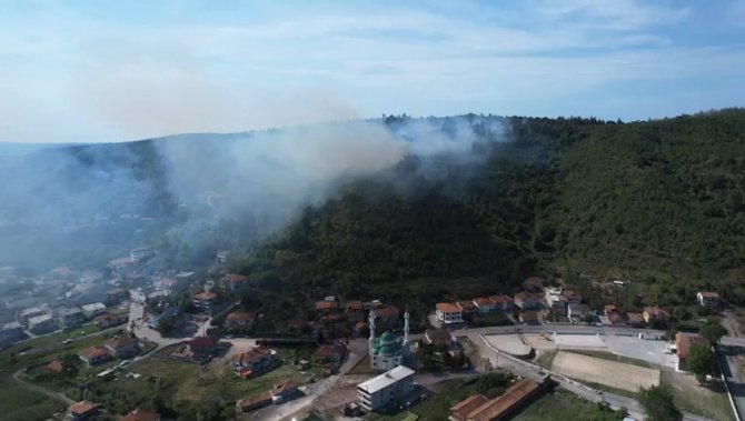 Sakarya’da ormanlık alanda çıkan yangın kısmen kontrol altına alındı