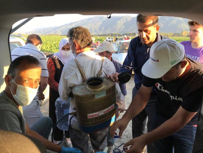 Simav’da ayçiçeği zararlısı "çayır tırtılı" ile mücadele çalışmaları