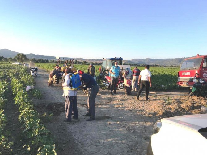 Simav’da ayçiçeği zararlısı "çayır tırtılı" ile mücadele çalışmaları