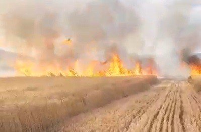 Tokat’ta, 30 dönüm buğday tarlası kül oldu